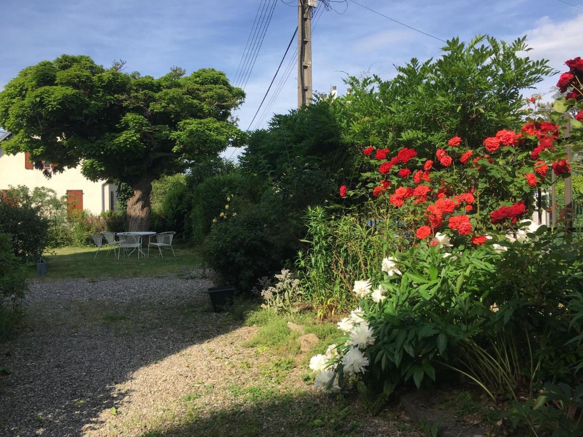 Le Catalpa - Centre Ville, Jardin & Parking! 阿讷西 外观 照片